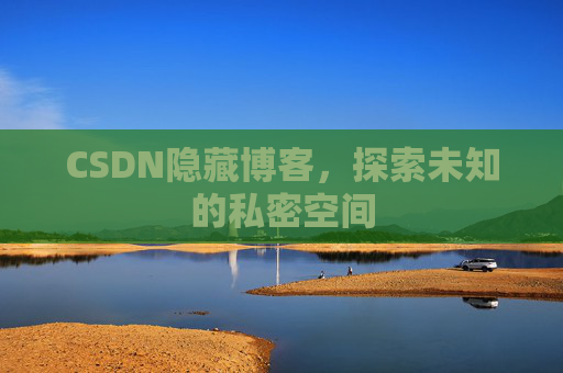 CSDN隐藏博客，探索未知的私密空间